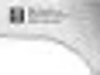 2 stk. Filetkniv L180 mm Zwilling Pro
