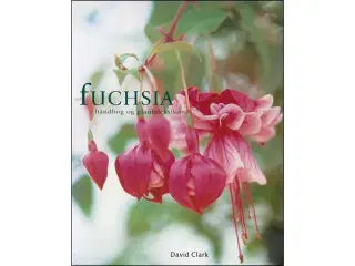 Fuchsia - Håndbog og Planteleksikon