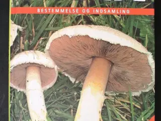 svampe - bestemmelse og indsamling over 600 arter,