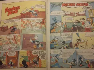 Mickey Mouse og elfenbenshundene.