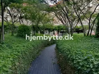 Hjembytte - Borgbjergsvej