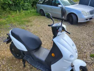 EL Scooter. 45