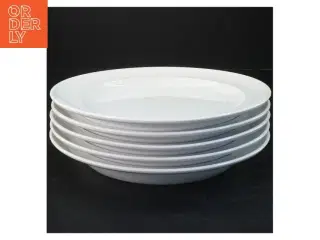 5 Royal Copenhagen hvidpot tallerkener (str. Ø 24 cm)