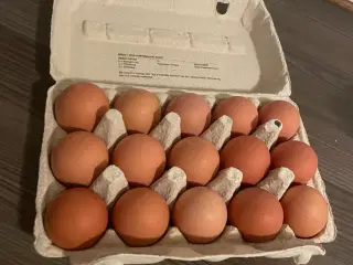 Frilands gård æg
