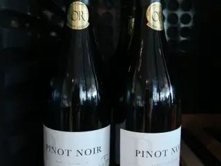 6 flasker Rødvin Famille Castan Pinot Noir 2024