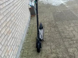 Ninebot Kickscooter F30 E el-løbehjul