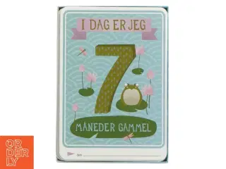 Milestone Baby Cards fra Milstone (str. 30 kort)