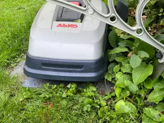 Alko Robolinho 1150w robotplæneklipper