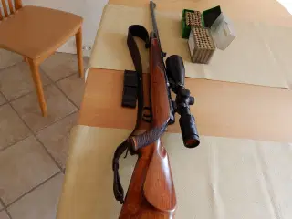 243 Sauer 80 sælges