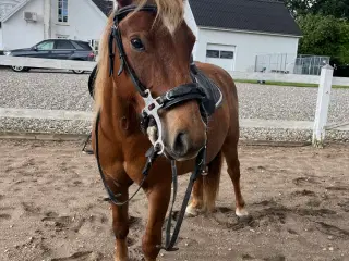Tinker blanding sælges