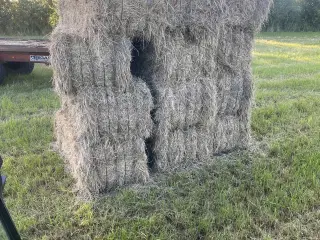 2025 Hø 200kg Delbar i 4stk