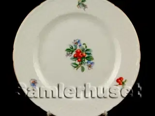 Ægir Tallerken Flad 24 cm.