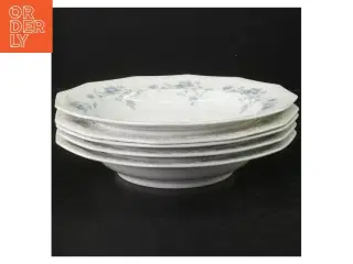 Porcelænstallerken med blomsterdekor fra Rosenthal (str. Ø. 21,5 cm)
