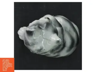 Porcelænskat