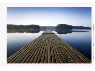 Photowall Wooden Pier at Morning Tapet