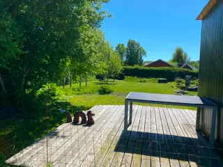 Kolonihave i Vorupkærparken i Randers