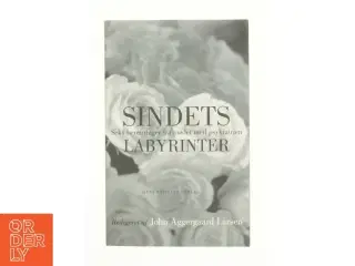 Sindets labyrinter af John Aggergaard Larsen (Bog)