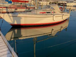 Albin Alpha 29 sælges