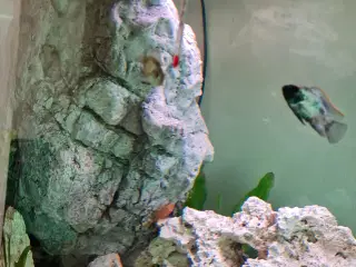 Akvarie filter 