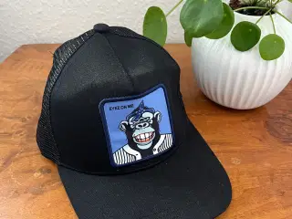 Kasket