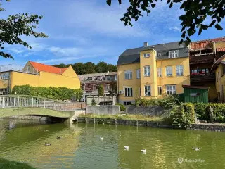 Erhvervsejerlejlighed til salg
