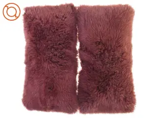 Puder (str. 55 x 25)