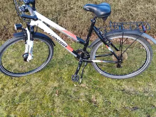 Cykel Winora Power Pro 21 Speed