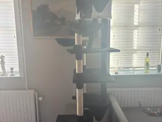 Kradsetræ 