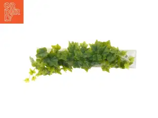 Kunstig efeu blad ranke fra A market (str. 180 cm)