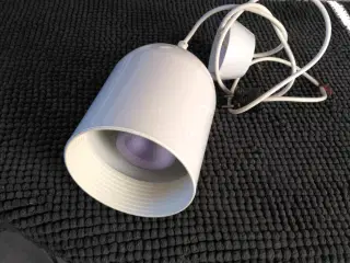 Plus pendel komplet med neodym vækstlampe
