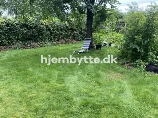 Hjembytte - Hallingparken