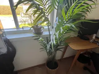 IKEA "FEJKA" Kunstig palmeplante
