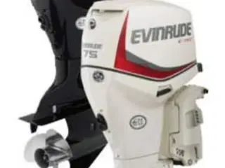 Købes Evinrude 75 hk etec påhængsmotor 