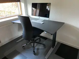 Skrivebord og kontorstole "HÅG og LINAK"