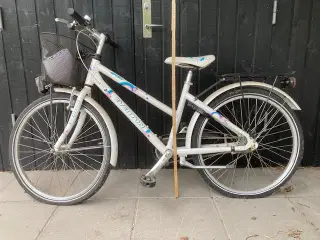 Cykel Everton