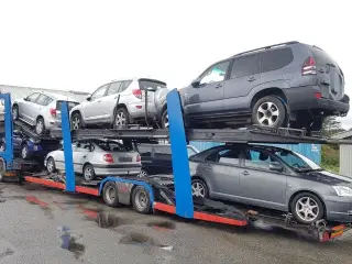 Qashqai+2 købes