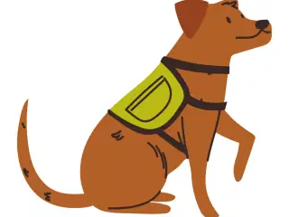 Hund søges 