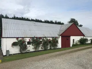 Landejendom til heste og ponyer