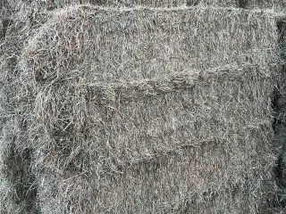 Hø