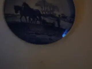 købes pony hoppe vallak