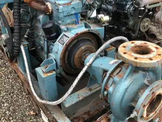 Store dieselmotorers pumpe