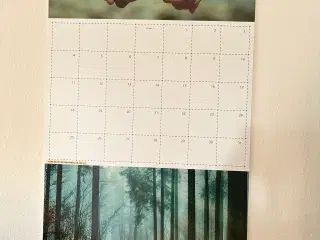 Evighedens kalender fra goldsetter.dk 