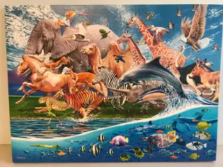 Nores Ark