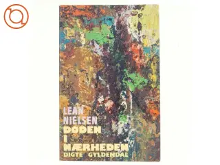 Døden i nærheden af Lean Nielsen (bog)