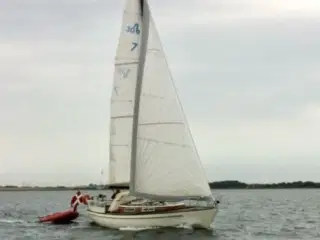 Nordborg 30 sejlbåd.