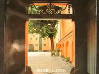 københavn mellem husene, af peter olesen. foto af 