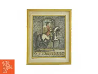 Billede i guldramme (27x22cm)