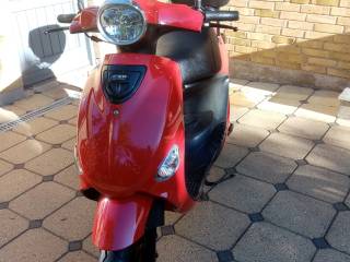 PGO ligero NEW