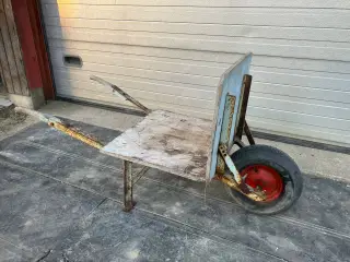 Murestens trillebør