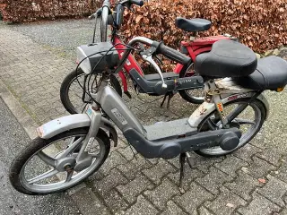 Vespa Ciao knallerter